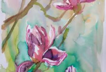 MAGNOLIE akwarela 50x40 w oprawie