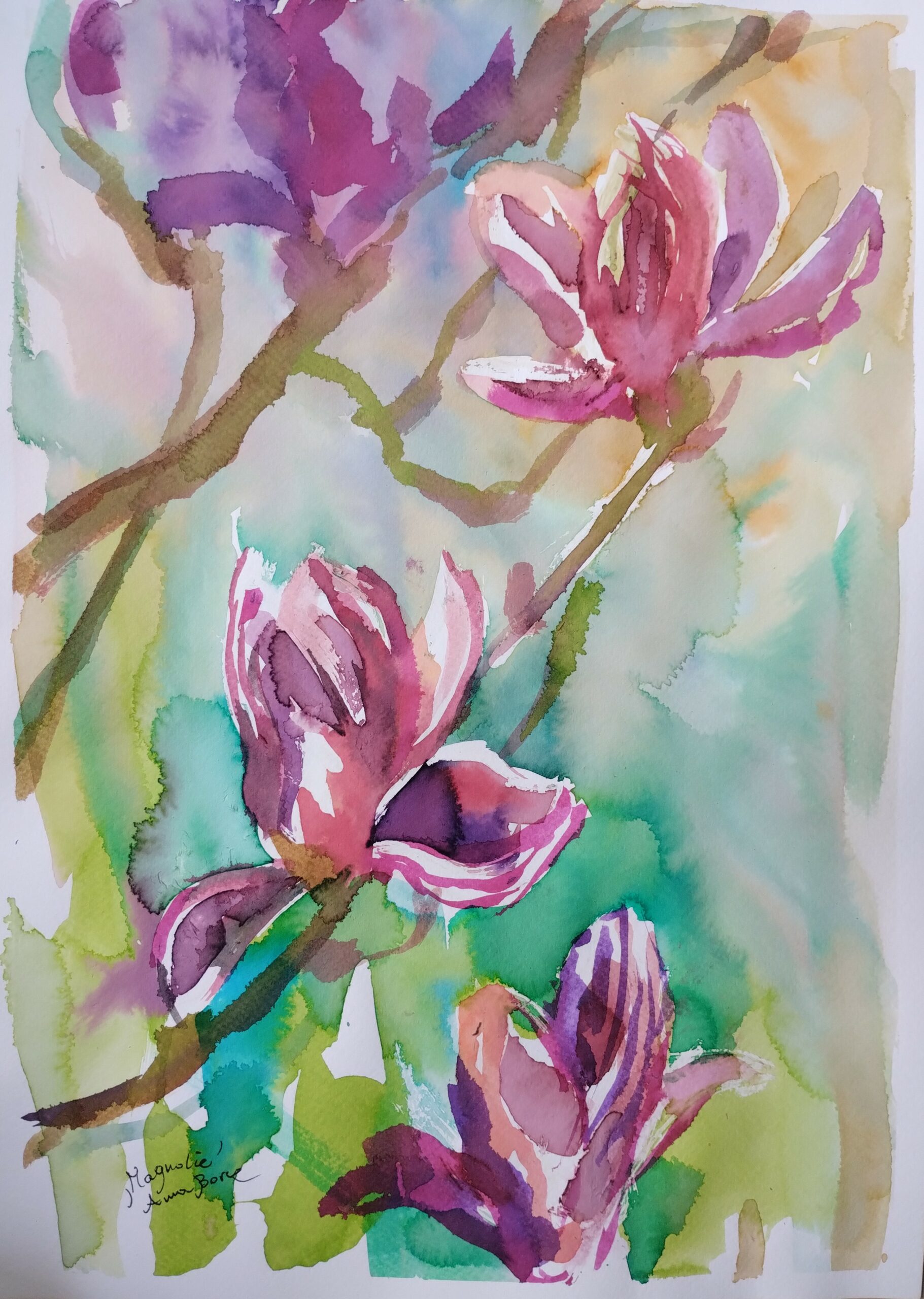 MAGNOLIE akwarela 50x40 w oprawie